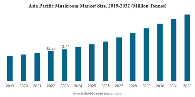 Mushroom Market to Reach USD 37.58 Million tonnes by 2034, Growing at 7.55% CAGR (2026–2034)
