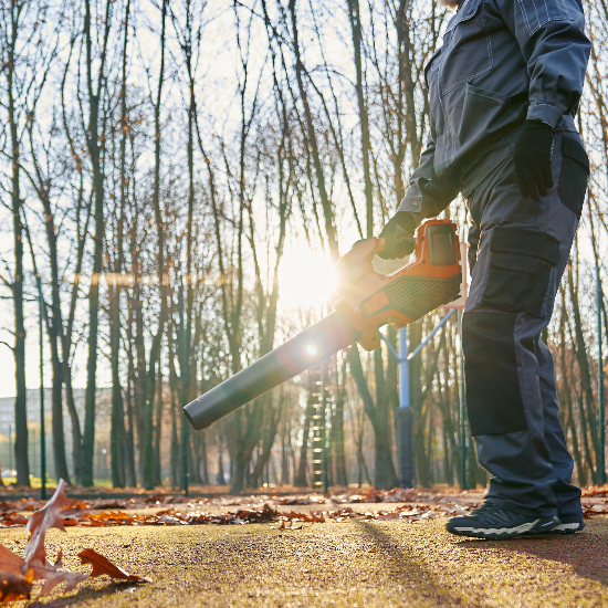Zazueta Tree Specialists: San Jose’s Tree Service Expert