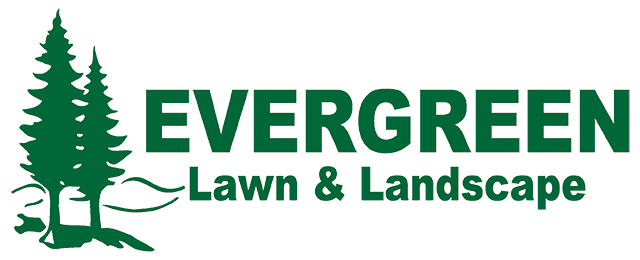 Learn About the Benefits of Hiring Professional Lawn Mowing in Argyle, TX
