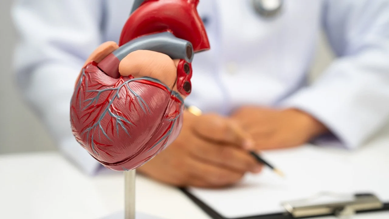 Women’s heart health demands unique attention